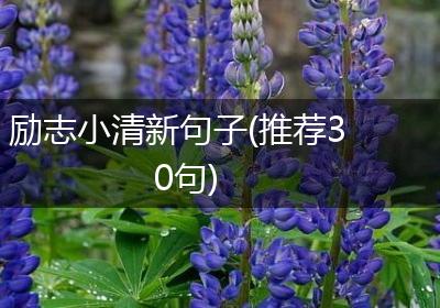 励志小清新句子(推荐30句)
