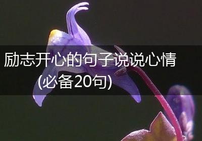 励志开心的句子说说心情(必备20句)