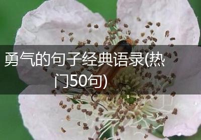 勇气的句子经典语录(热门50句)