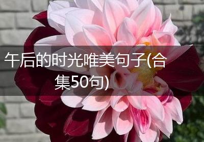 午后的时光唯美句子(合集50句)