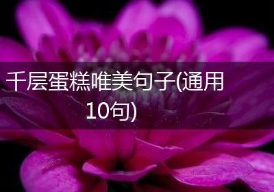 千层蛋糕唯美句子(通用10句)