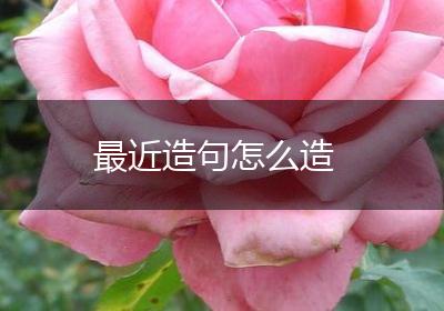 最近造句怎么造