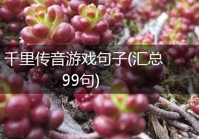 千里传音游戏句子(汇总99句)