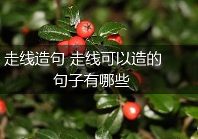 走线造句 走线可以造的句子有哪些