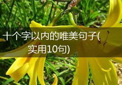 十个字以内的唯美句子(实用10句)