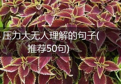 压力大无人理解的句子(推荐50句)
