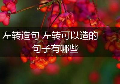 左转造句 左转可以造的句子有哪些