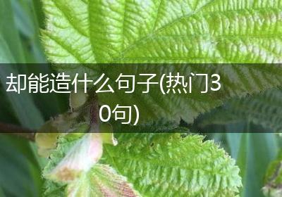 却能造什么句子(热门30句)