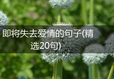 即将失去爱情的句子(精选20句)