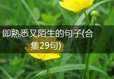 即熟悉又陌生的句子(合集29句)