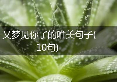 又梦见你了的唯美句子(10句)