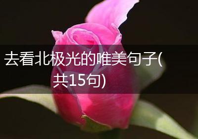 去看北极光的唯美句子(共15句)