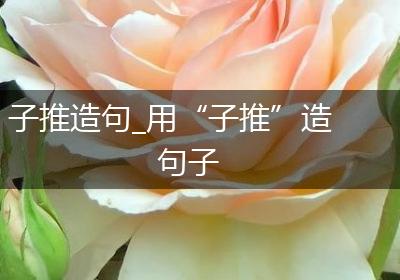 子推造句_用“子推”造句子