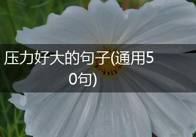 压力好大的句子(通用50句)
