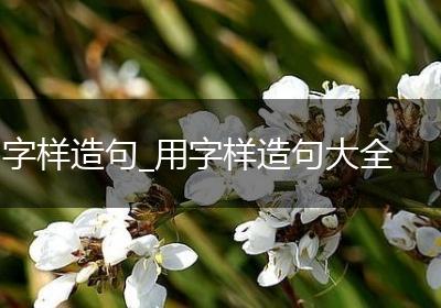 字样造句_用字样造句大全