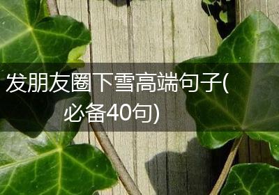 发朋友圈下雪高端句子(必备40句)