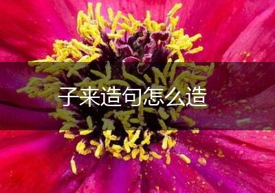 子来造句怎么造