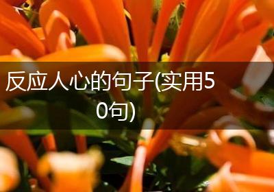 反应人心的句子(实用50句)