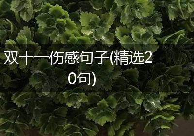 双十一伤感句子(精选20句)