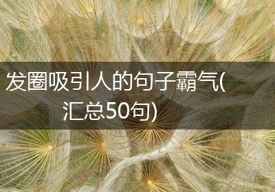 发圈吸引人的句子霸气(汇总50句)