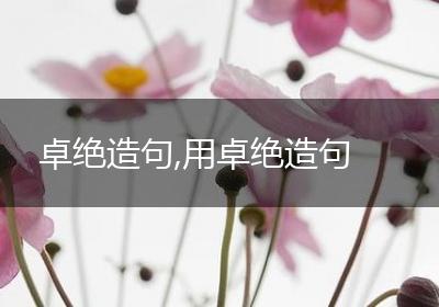卓绝造句,用卓绝造句