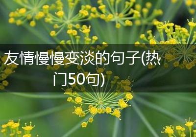友情慢慢变淡的句子(热门50句)