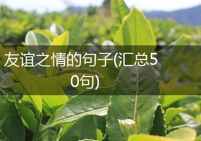 友谊之情的句子(汇总50句)