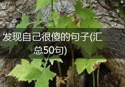 发现自己很傻的句子(汇总50句)