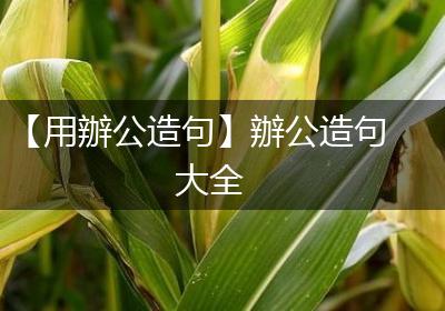 【用辦公造句】辦公造句大全