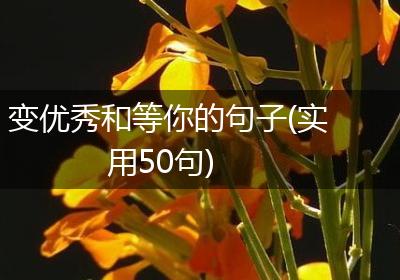 变优秀和等你的句子(实用50句)