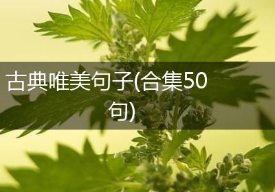 古典唯美句子(合集50句)
