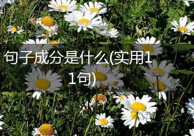 句子成分是什么(实用11句)