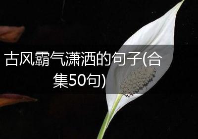 古风霸气潇洒的句子(合集50句)