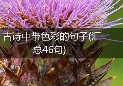 古诗中带色彩的句子(汇总46句)