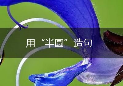 用“半圆”造句