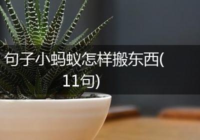 句子小蚂蚁怎样搬东西(11句)