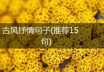 古风抒情句子(推荐15句)