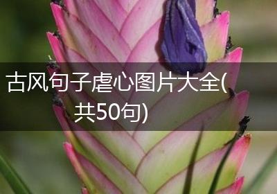 古风句子虐心图片大全(共50句)