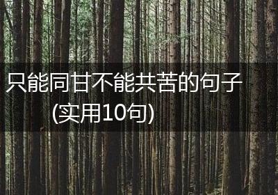 只能同甘不能共苦的句子(实用10句)