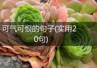 可气可恨的句子(实用20句)