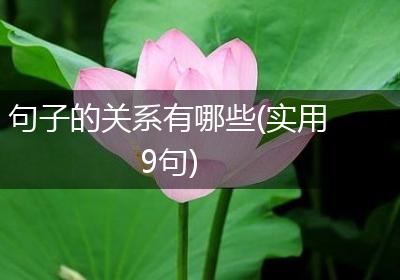 句子的关系有哪些(实用9句)