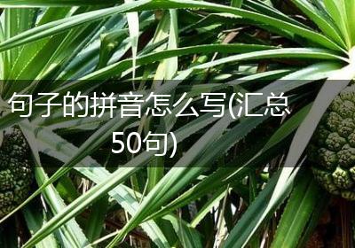 句子的拼音怎么写(汇总50句)