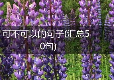 可不可以的句子(汇总50句)