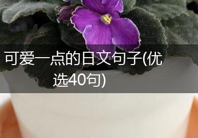 可爱一点的日文句子(优选40句)