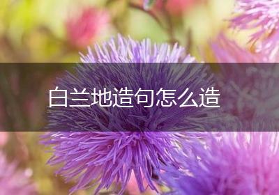 白兰地造句怎么造