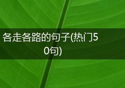 各走各路的句子(热门50句)
