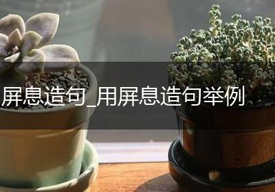 屏息造句_用屏息造句举例