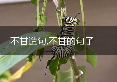 不甘造句,不甘的句子
