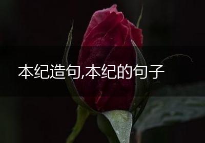 本纪造句,本纪的句子
