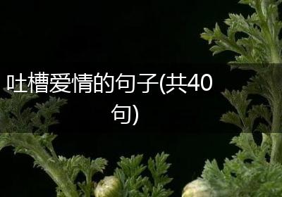 吐槽爱情的句子(共40句)